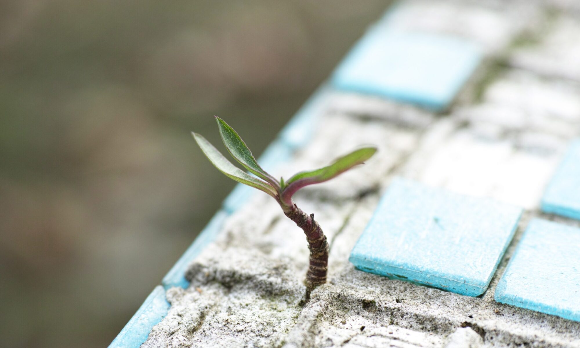Gewohnheiten Gefühle Bedürfnisse